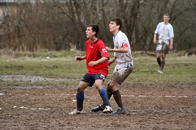 跑者提供了 跑者提供了