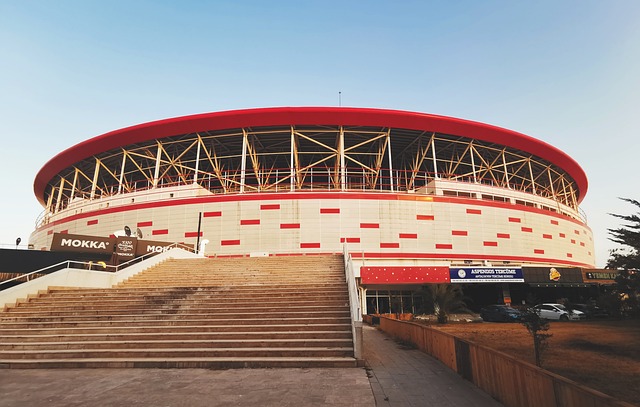 每位队员不 每位队员不