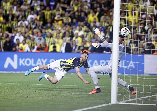 占据了举足 占据了举足