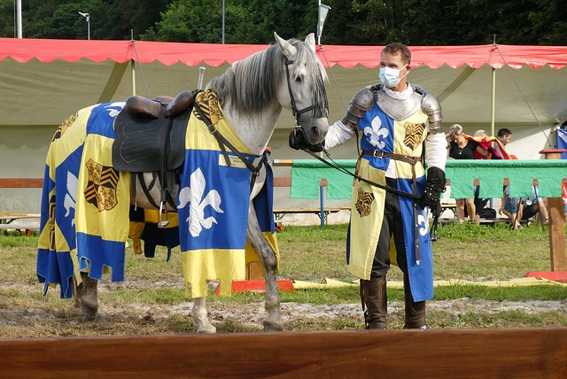 系的结束 系的结束