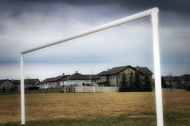 根据美媒的 根据美媒的