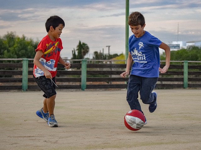 赢得了冠军 赢得了冠军