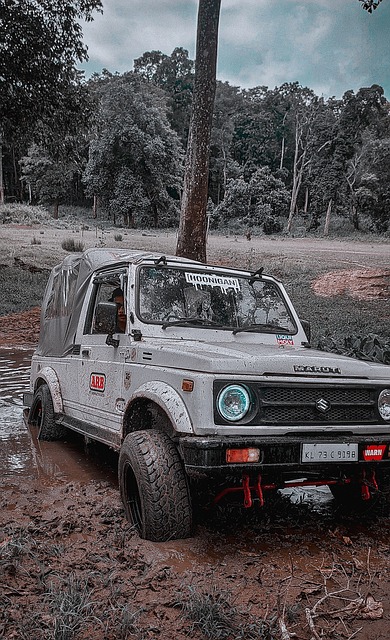 受到了擁有 受到了擁有