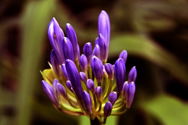 同时加强国 同时加强国