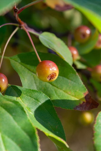 而通过解决 而通过解决