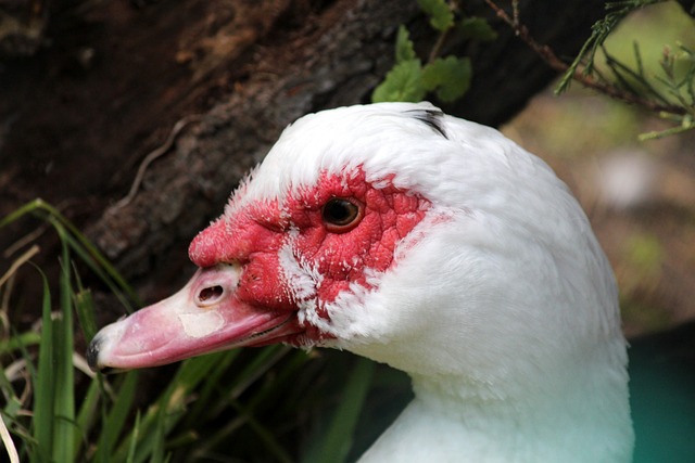 却令人堪忧 却令人堪忧