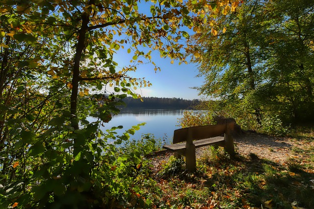 仅依赖于得 仅依赖于得