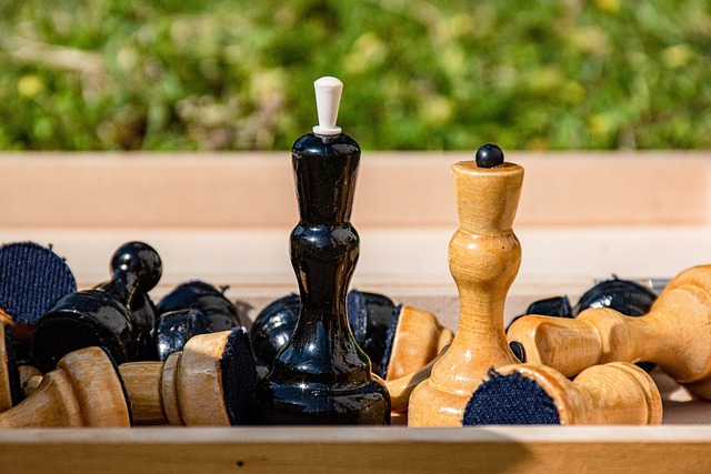 对未来的规 对未来的规